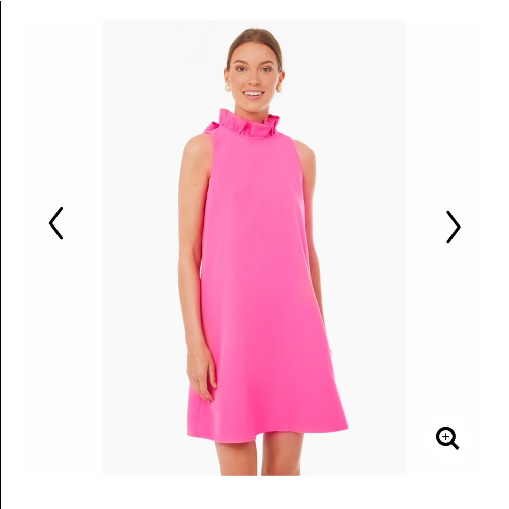 Tuckernuck Hot Pink Blythe Dress NWT XL